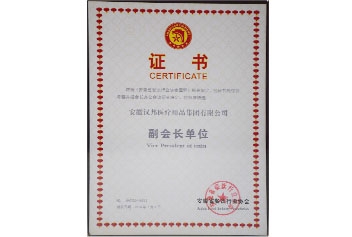 集團(tuán)公司副會(huì)長(zhǎng)單位