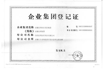 集團(tuán)登記證