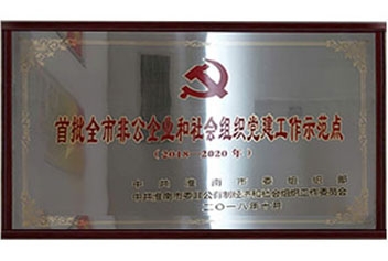 市級(jí)黨建示范點(diǎn)